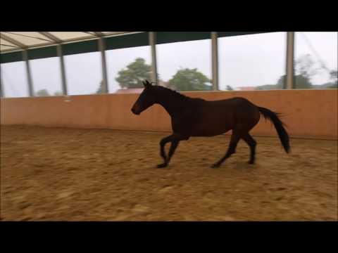 Dior, 3j Wallach von Depeche Mode x Fiano zu verkaufen in Warendorf