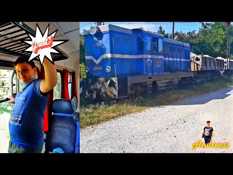 Trenuri la Fieni 1. Mocanita in actiune