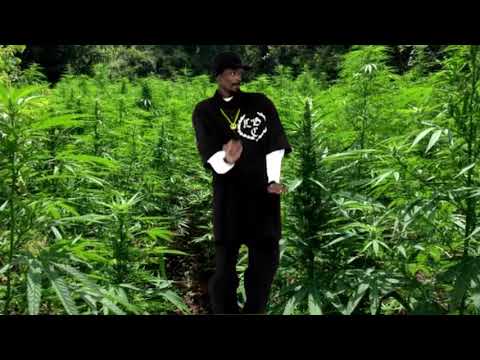 LoL pro song mit jumbo schreiner official