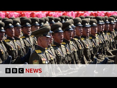 Video | North Korea joins Russia's war against Ukraine, officials say | BBC News