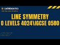 LINE SYMMETRY O LEVELS 4024 IGCSE 0580