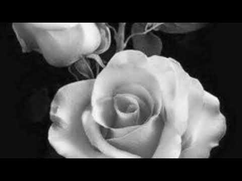 🌌MIRINO - SMARAGD🌌 Slow theme