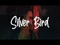 Mark Lindsay - Silver Bird (Lyrics) From The Gray Man