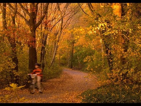 Timber Ridge Cemetery Video 2