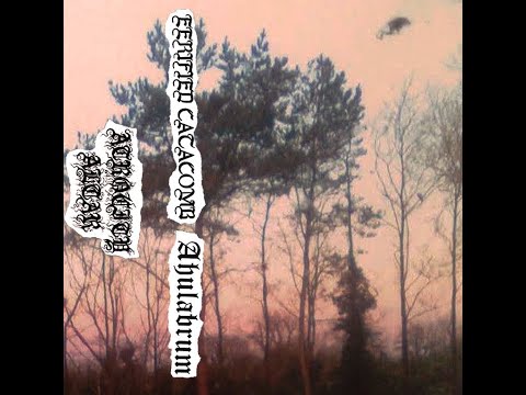 Eerified Catacomb/Ahulabrum - Split CS