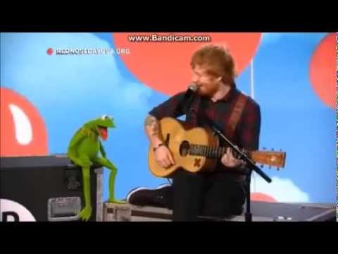 Ed Sheeran singing Rainbow Connection with Kermit the Frog on Red Nose Day 2015