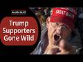 Trump Supporters Gone Wild