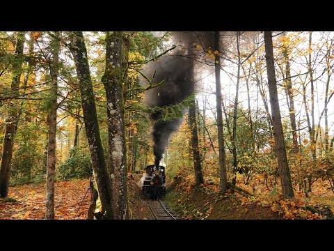 Black Smoke as Shay Steam Locomotive has Tubes Sanded