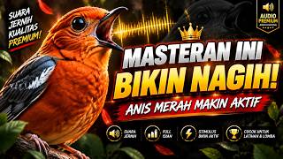 Download lagu Masteran Anis Merah 24 Jam | Koleksi Suara Terapi Terbaik mp3