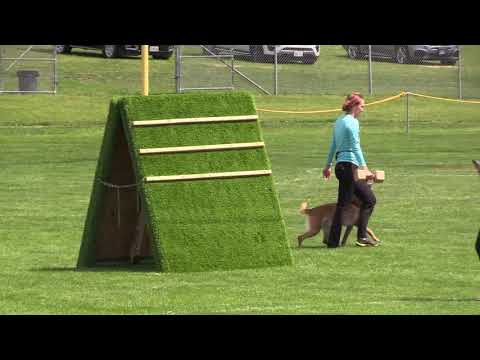 Enya IGP3 obedience at 2021 AWDF