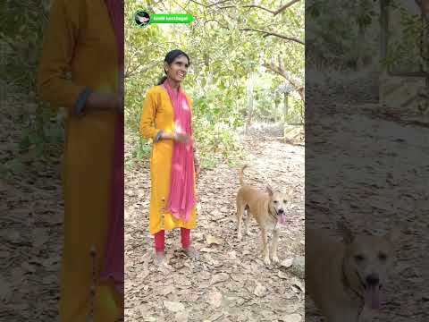 🐔குரங்கோட வாக்கிங்கா? 😂😂😂 #kozhi_koothugal #funny_chicken #gramathukoothugal #funnyvideo