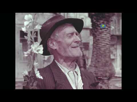 Il lagno (Luigi Di Gianni, 1966)