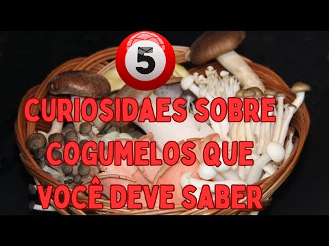 Curiosidades Comestíveis sobre Cogumelos