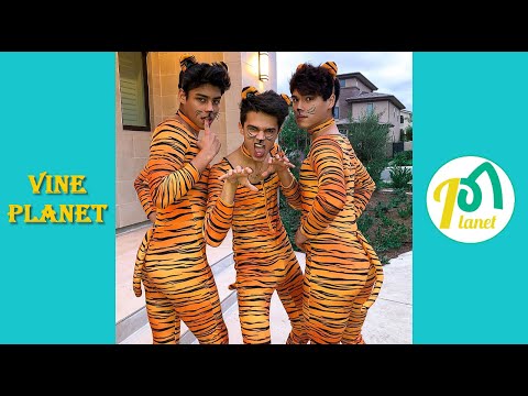 New Alan Stokes TikTok Videos | Best Compilation - Vine Planet✔