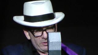 Elvis Costello :Liverpool 15 June 2015: A good year for the roses