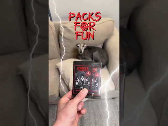 Vídeo relacionado con Top Trumps Stranger Things - Estuche de Lata para coleccionista, 1 baraja de Cartas dedicadas para 2 Jugadores más es un Gran Regalo para Mayores de 15 años