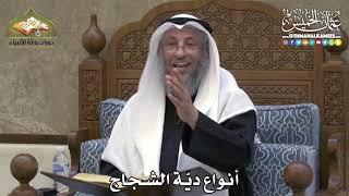2361 - أنواع ديّة الشجاج - عثمان الخميس