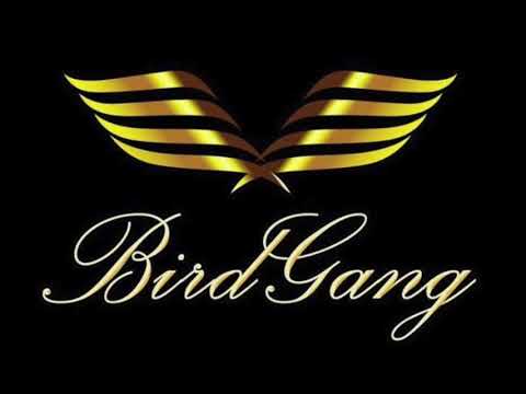 BirdGang Ltd | The Anthem #BirdGangDanceChallenge