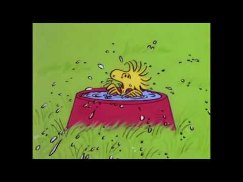 Woodstock's bird bath takes a turn for the worst.
