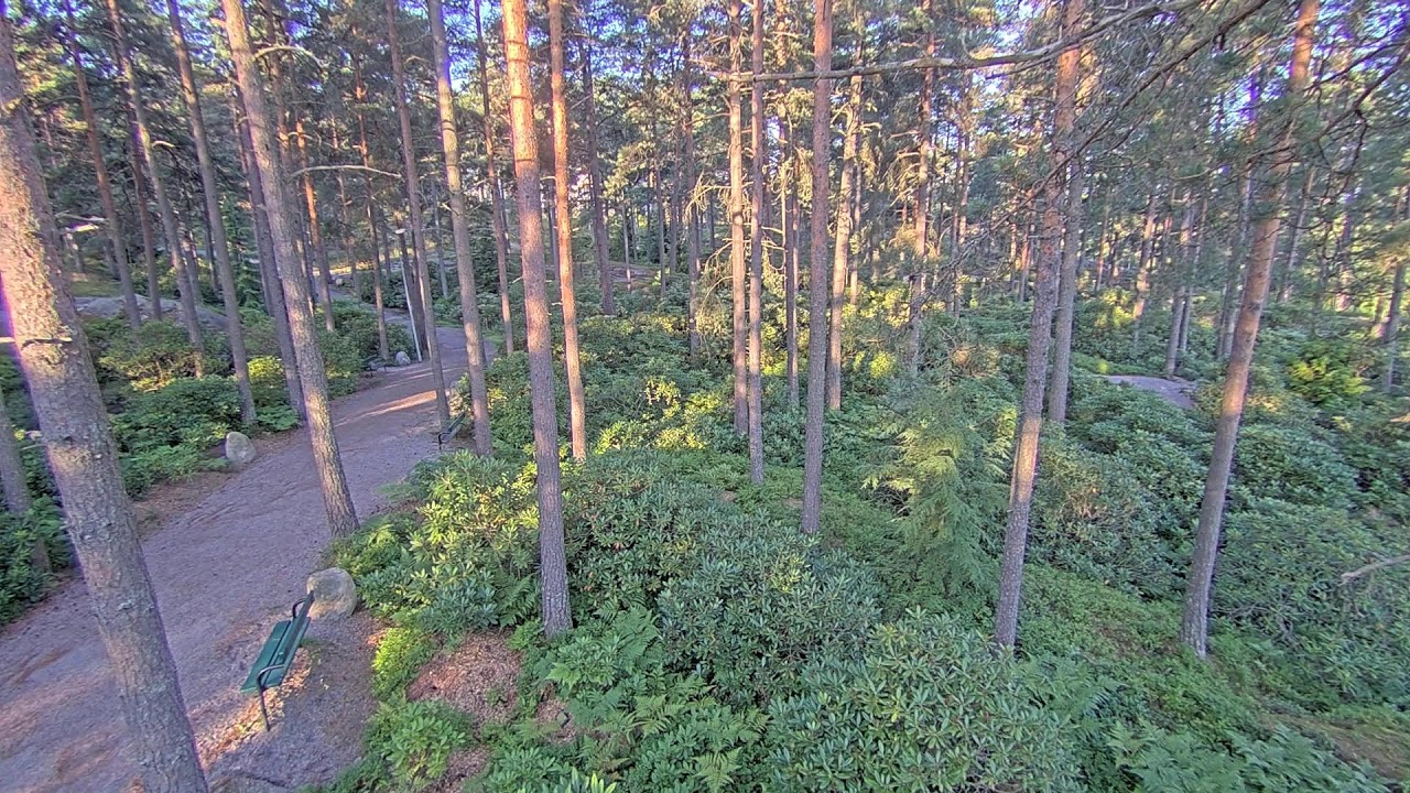Live webcam view of Rhododendron Park Trail