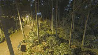 Finland Proper · Raisio · Alppiruusupuisto live stream