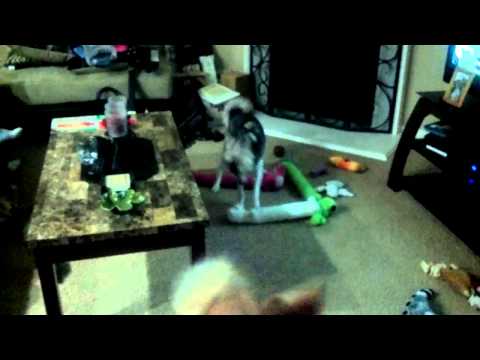 2011 11 14 18 04 46 835