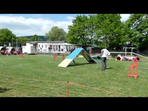 03.05.2014 VDH Konz Uwe mit Viva A1