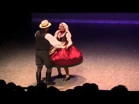 Magyarpalatkai Táncok / Dances from Magyarpalatka (Transylvania)