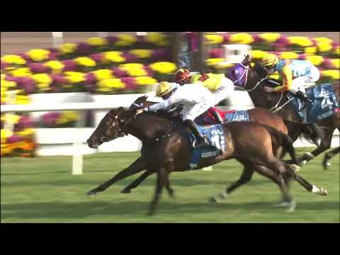 Golden Sixty 金鎗六十 【ゴールデンシックスティ】 The Stewards' Cup G1 2021