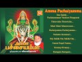 Amma Pachaiyamma அம்மா பச்சையம்மா Veramanidasan வீரமணி த