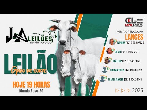 Canalleiloes.com | LEILÃO GADO DE CORTE  J A LEILÕES | MUNDO NOVO - GO 19/11/2025