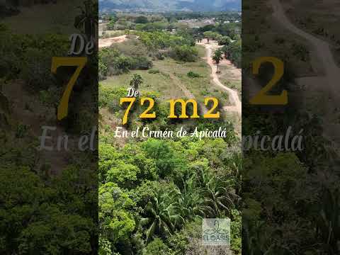 Miniatura del Short 3