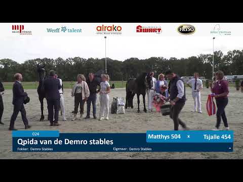 Fokdag | Het Friese Paard Limburg | 6 juli 2024