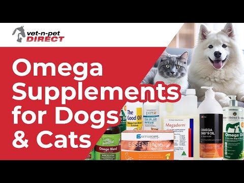 Omega Supplements for Dogs and Cats