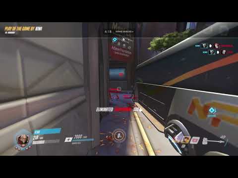 kiwi's highlight 18 12 29 13 02 08