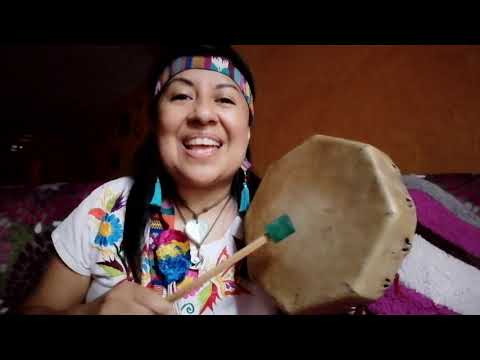 Canto medicina Colibrí bri bri