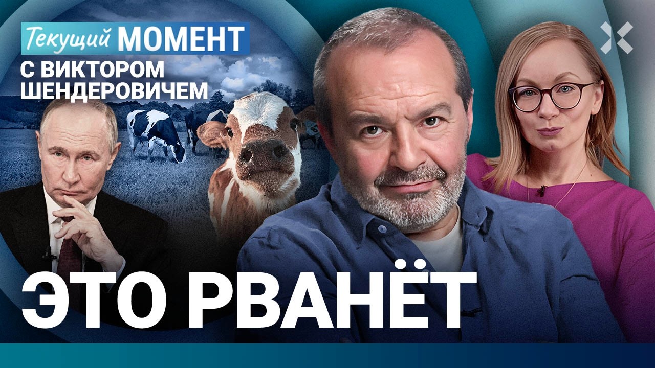 ШЕНДЕРОВИЧ: Зачем убивают коров. Поскользнётся ли власть на кожуре. Интернет