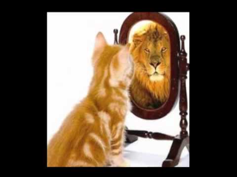 Mario Zovko - My way (cover)