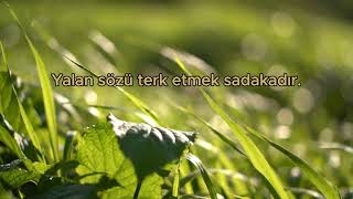 Yalanı Terk Etmek de Sadakadır | Anlamlı Hadis