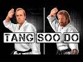 Chuck Norris S Fighting Style Is TERRIFYING