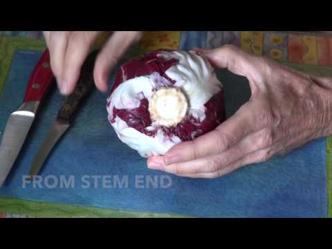 download lagu mp3 mp4 My Radicchio Is Green, download lagu My Radicchio Is Green gratis, unduh video klip My Radicchio Is Green