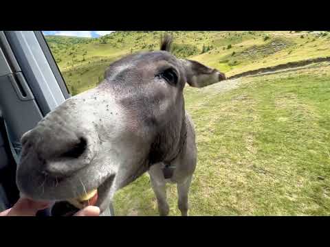Die Transalpina in Rumänien: die wohl schönste Panoramastraße durch die Südkarpaten