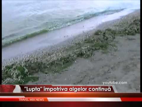 Lupta împotriva algelor continuă – VIDEO