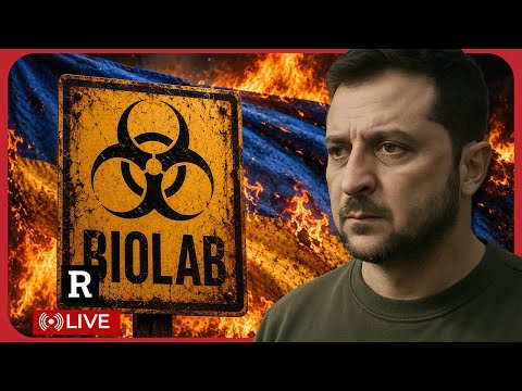 Biolaboratoře, původ covidu a digitální ID: tři kauzy o dohledu