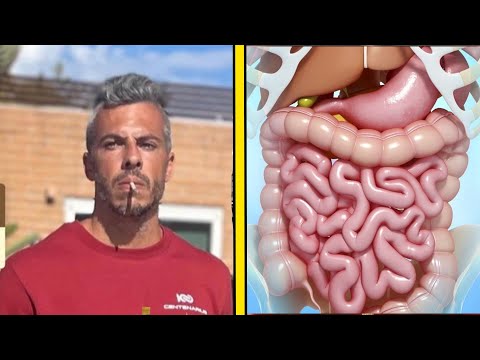 Brute De Force - Gut Health