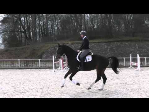 Linou v. Liberator - Continue geb.  2012 Wallach