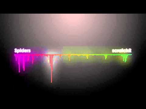 scratchR/Acid-Notation - Spiders