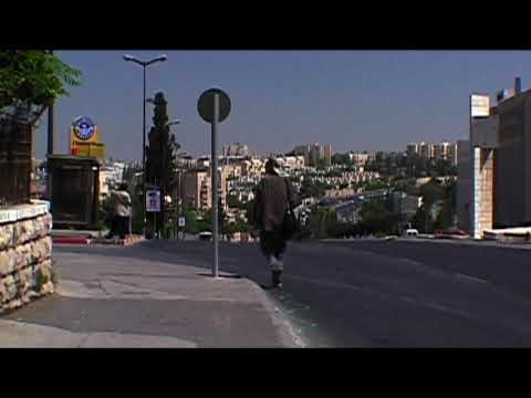 Francis Alÿs The Greenline