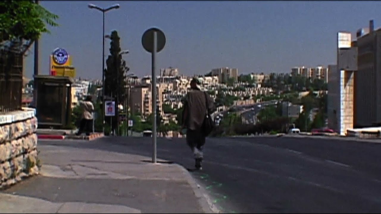 Francis Alÿs The Greenline