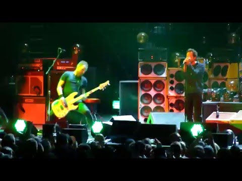 Pearl Jam "Animal"